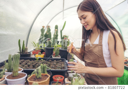 Woman looking at cactus in greenhouse garden center, Asian young woman looking at small cactus Woman looking at cactus in greenhouse garden center, Asian young woman looking at small cactus 81807722