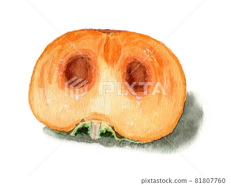 There is a cross-section species of persimmon cut in half with analog watercolor 81807760