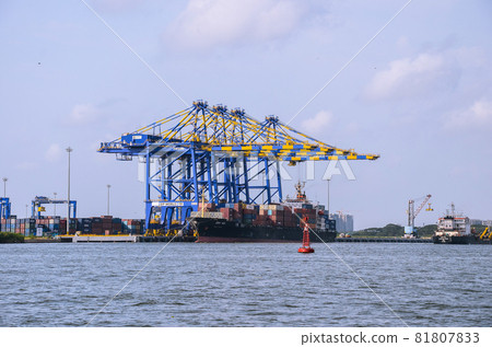 Cranes at a sea port Cranes at a sea port 81807833