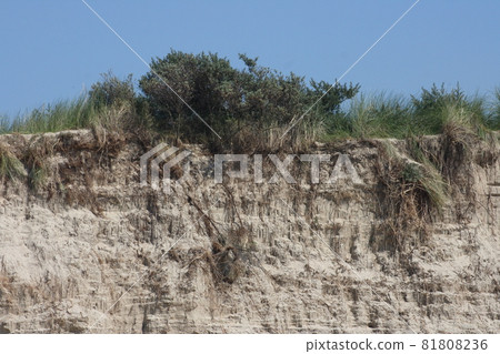 Sandy slope 81808236