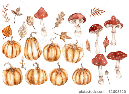 Autumn with mushrooms clipart 81808820