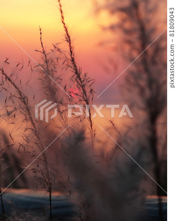 Moments of dusk Moments of dusk 81809043