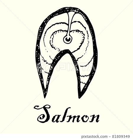 A piece of raw fresh fish steak of red fish... - Stock Illustration ...