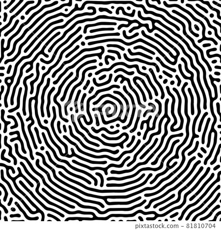 Vector black and white organic rounded lines pattern. Vector black and white organic rounded lines pattern. 81810704