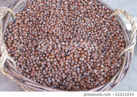hazelnuts in a large wicker basket close-up 81811834