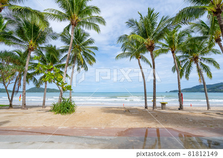 Phuket patong beach Summer beach with palms trees around in Patong beach Phuket island Thailand, Beautiful tropical beach with blue sky background in summer season Copy space Phuket patong beach Summer beach with palms trees around in Patong beach Phuket island Thailand, Beautiful tropical beach with blue sky background in summer season Copy space 81812149