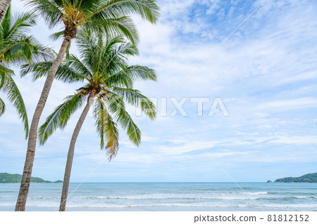 Phuket patong beach Summer beach with palms trees around in Patong beach Phuket island Thailand, Beautiful tropical beach with blue sky background in summer season Copy space Phuket patong beach Summer beach with palms trees around in Patong beach Phuket island Thailand, Beautiful tropical beach with blue sky background in summer season Copy space 81812152