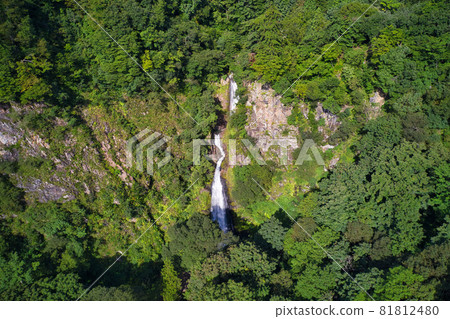 Majestic Fudotaki, Itoigawa City, Niigata Prefecture (aerial view by drone) Majestic Fudotaki, Itoigawa City, Niigata Prefecture (aerial view by drone) 81812480