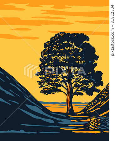 Sycamore Gap Tree in Hadrians Wall Country Within Northumberland National Park in North East England UK Art Deco WPA Poster Art Sycamore Gap Tree in Hadrians Wall Country Within Northumberland National Park in North East England UK Art Deco WPA Poster Art 81812534