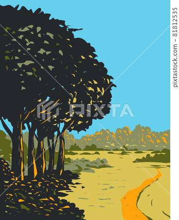 Heathland and Forest Trails in New Forest Located Within New Forest National Park in Southern England UK Art Deco WPA Poster Art Heathland and Forest Trails in New Forest Located Within New Forest National Park in Southern England UK Art Deco WPA Poster Art 81812535