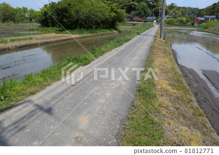 鋪好的農場道路和鄉村景觀 鋪好的農場道路和鄉村景觀 81812771
