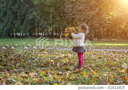 adorable toddler girl playing with yellow maple leaves in autumn park on a sunny day 81812925
