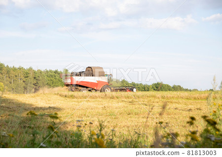 old combine harvester harvests from the field old combine harvester harvests from the field 81813003
