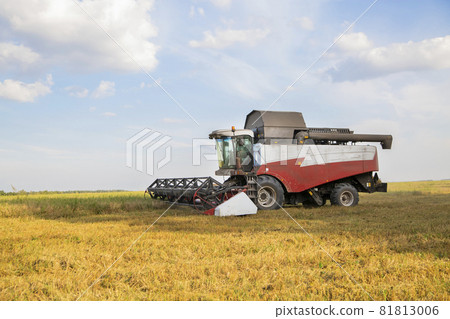 old combine harvester harvests from the field old combine harvester harvests from the field 81813006