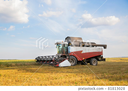 old combine harvester harvests from the field old combine harvester harvests from the field 81813028