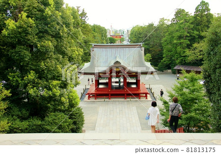 Tsuruoka Hachimangu Shrine 81813175