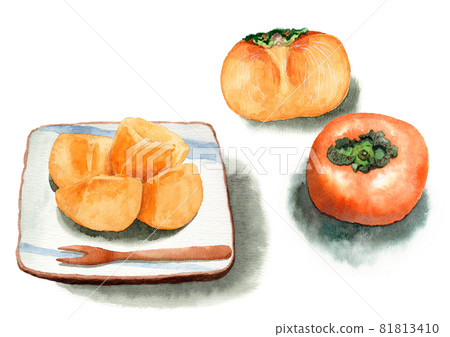 A set of analog watercolor persimmons and peeled and cut seedless persimmons 81813410