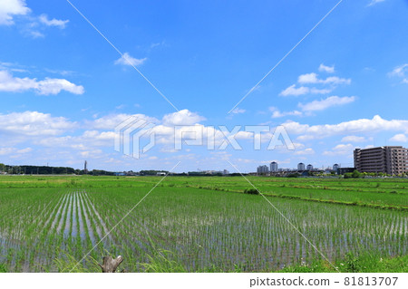 埼玉縣埼玉市水沼區農村和高層公寓 埼玉縣埼玉市水沼區農村和高層公寓 81813707