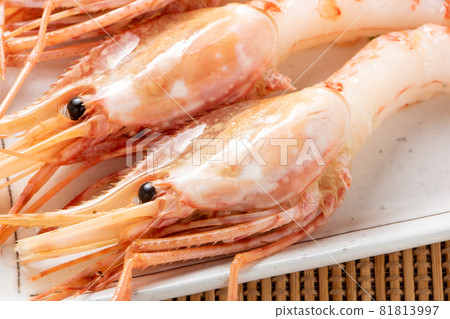 Botan shrimp sashimi up. Botan shrimp sashimi up. 81813997
