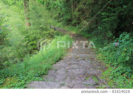 Nakasendo Kisoji Magome Pass Road on the Tsumago side 81814028