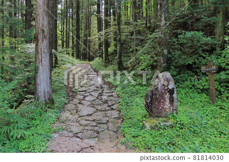 Nakasendo Kisoji Magome Pass Road on the Tsumago side 81814030
