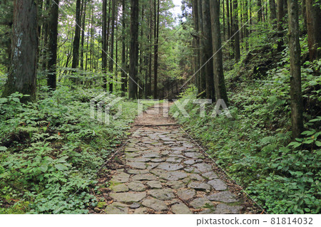 Nakasendo Kisoji Magome Pass Road on the Tsumago side 81814032