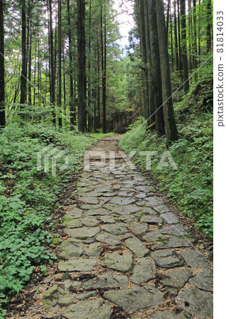 妻籠一側的中山道木曾路馬籠山口 81814033