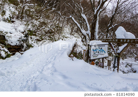 Adachi Adachi在冬天 81814090