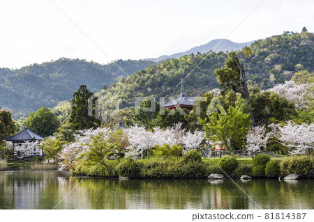 View of Daikakuji Temple (Kyoto) Osawaike area in spring View of Daikakuji Temple (Kyoto) Osawaike area in spring 81814387