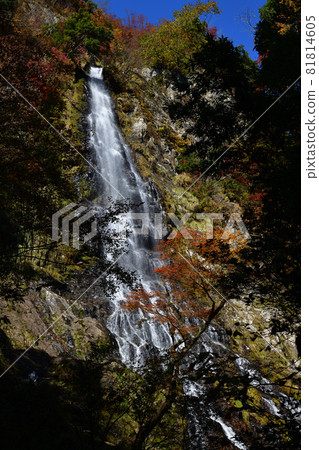 Autumn leaves of Tendaki 81814605