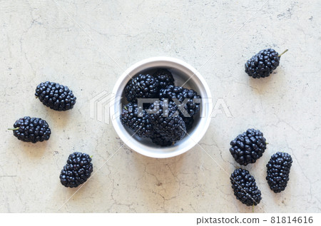 Mulberry_Morus alba_Cocot 81814616