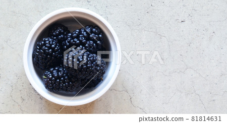 Mulberry_Morus alba_Cocot Mulberry_Morus alba_Cocot 81814631