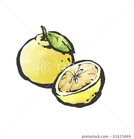 柚子的手繪毛筆繪畫風格插畫 81815669