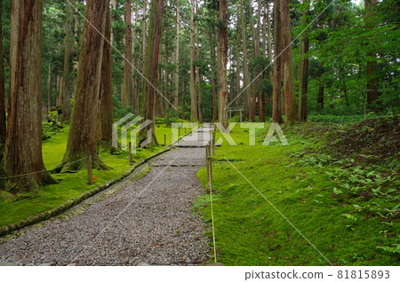白山平千寺,三宮的道路 白山平千寺,三宮的道路 81815893