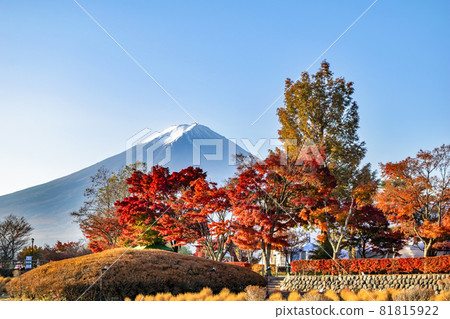 Autumn leaves and Mt. Fuji in the maple corridor on the shores of Lake Kawaguchi Autumn leaves and Mt. Fuji in the maple corridor on the shores of Lake Kawaguchi 81815922