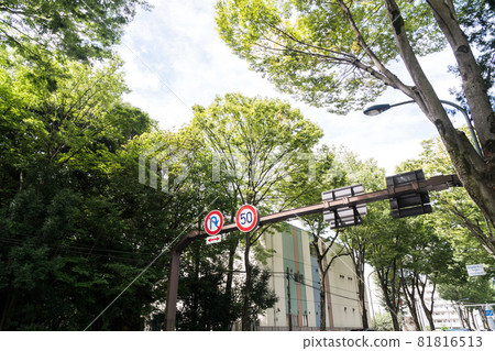 Koshu Kaido, in front of the University of Electro-Communications, Keio Line Chofu Station North Exit, Chofu City, Tokyo 81816513