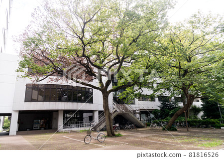 東京電氣通信大學校園大樓和自然調布市 東京電氣通信大學校園大樓和自然調布市 81816526