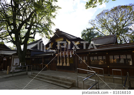 Goo Shrine Nakamon 81816810