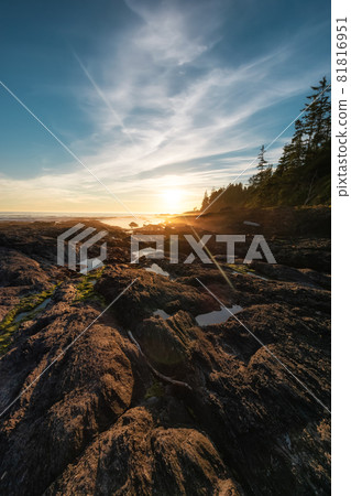 Botanical Beach on the West Coast of Pacific Ocean. Botanical Beach on the West Coast of Pacific Ocean. 81816951