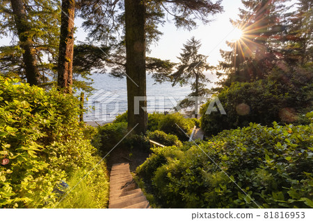 Hiking Path to Mystic Beach in the Vibrant Rainforest Hiking Path to Mystic Beach in the Vibrant Rainforest 81816953