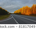 Empty Highway In The Forest At Sunset 81817049