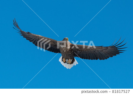 Lake Furen winter scenery Lake Furen winter scenery 81817527