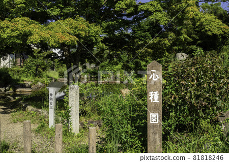 Maizuru Park Tanabe Castle Ruins Heart Seed Garden Maizuru City, Kyoto Prefecture Maizuru Park Tanabe Castle Ruins Heart Seed Garden Maizuru City, Kyoto Prefecture 81818246
