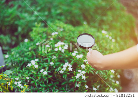 Woman researcher using magnifying glass for analysis and examining flower with studying data in the garden,Close up Woman researcher using magnifying glass for analysis and examining flower with studying data in the garden,Close up 81818251
