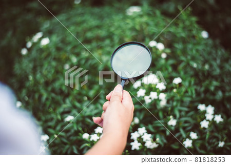Woman researcher using magnifying glass for analysis and examining flower with studying data in the garden,Close up 81818253