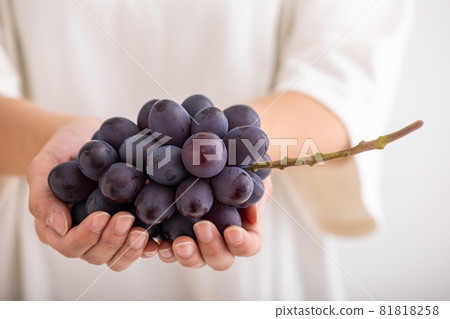 秋天的味道，葡萄，高級葡萄，水果，時令水果 81818258