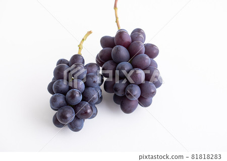 Autumn taste, grapes, high-class grapes, fruits, seasonal fruits 81818283