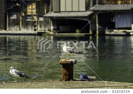 京都府與座區伊根町伊根伊根船屋 京都府與座區伊根町伊根伊根船屋 81818334