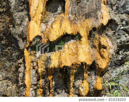 Background with yellow mold on the mountain or rock 81819203