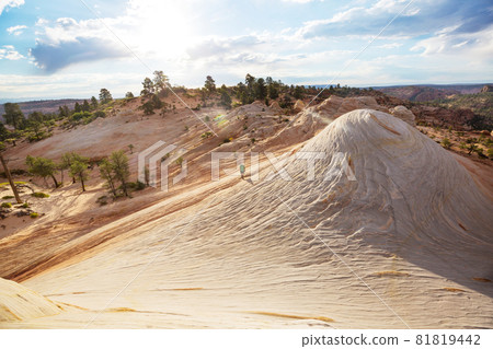 Utah landscapes 81819442